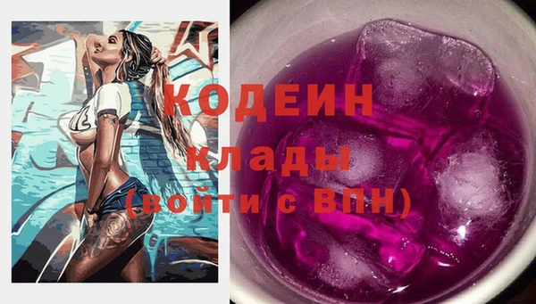 гашик Аркадак