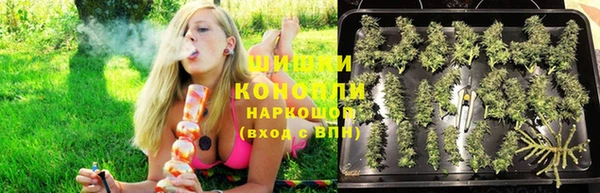 гашик Аркадак