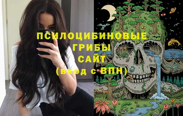 прущий лед Арсеньев