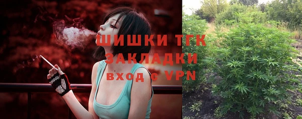 гашик Аркадак