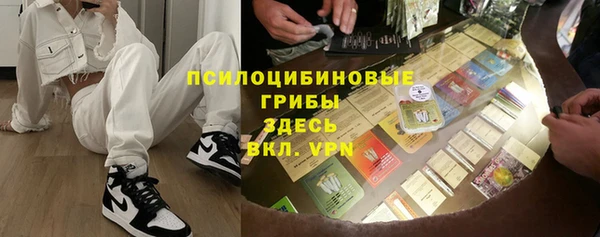 прущий лед Арсеньев