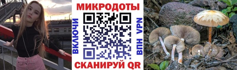 где купить наркотик  kraken ТОР  Галлюциногенные грибы прущие грибы  Узловая 